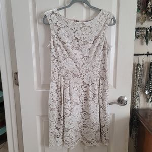 Vince Camuto size 4 ivory lace dress